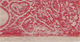ZP 95 (a)