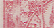 ZP 55 (a)