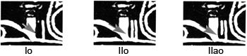 Obloukové typy / Arch types